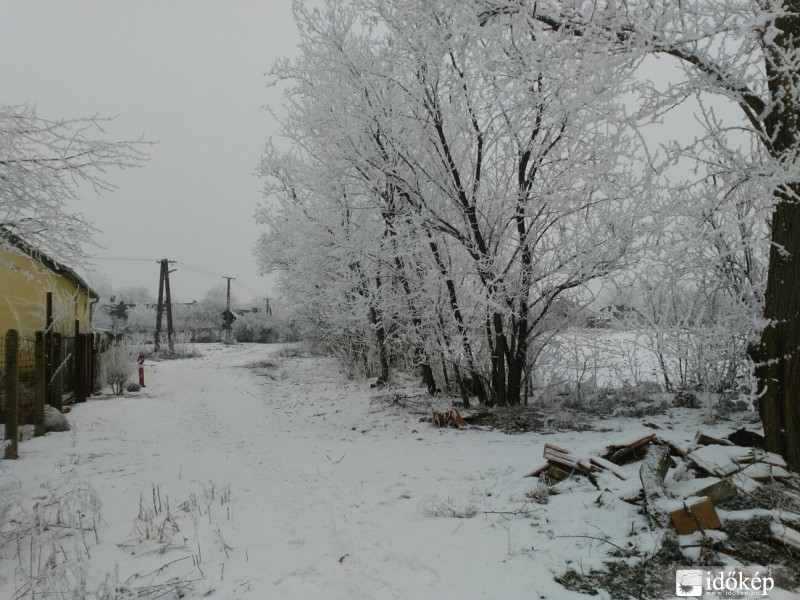 Észlelési fényképek