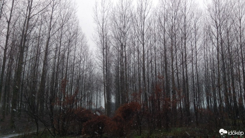 Észlelési fényképek