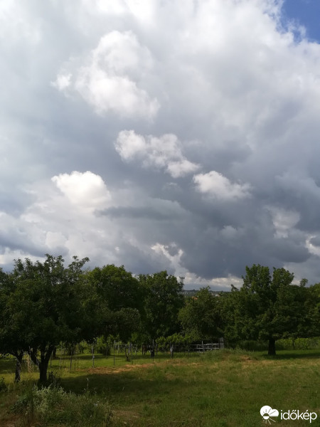 Észlelési fényképek