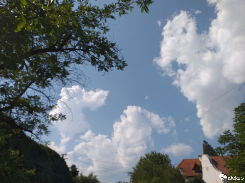 Észlelési fényképek