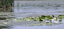 Tisza-tavi ökocentrum
