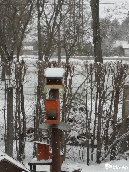 Észlelési fényképek