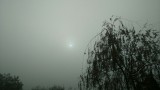 Tiszasüly