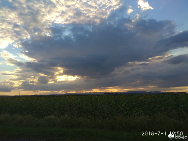 Észlelési fényképek