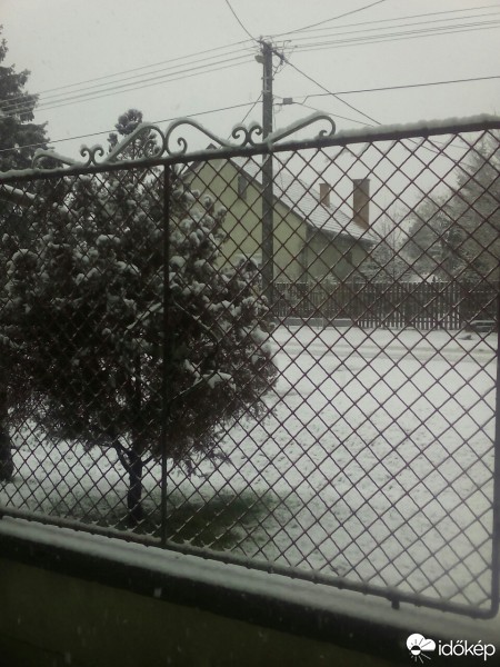 Észlelési fényképek