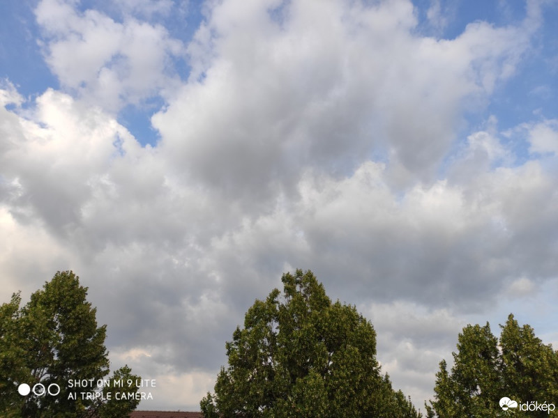 Észlelési fényképek