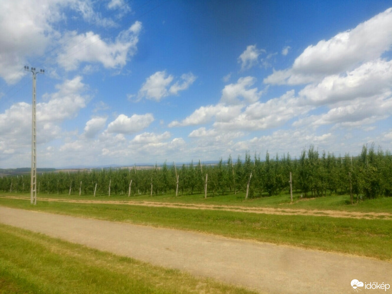 Észlelési fényképek