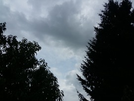 Zirc