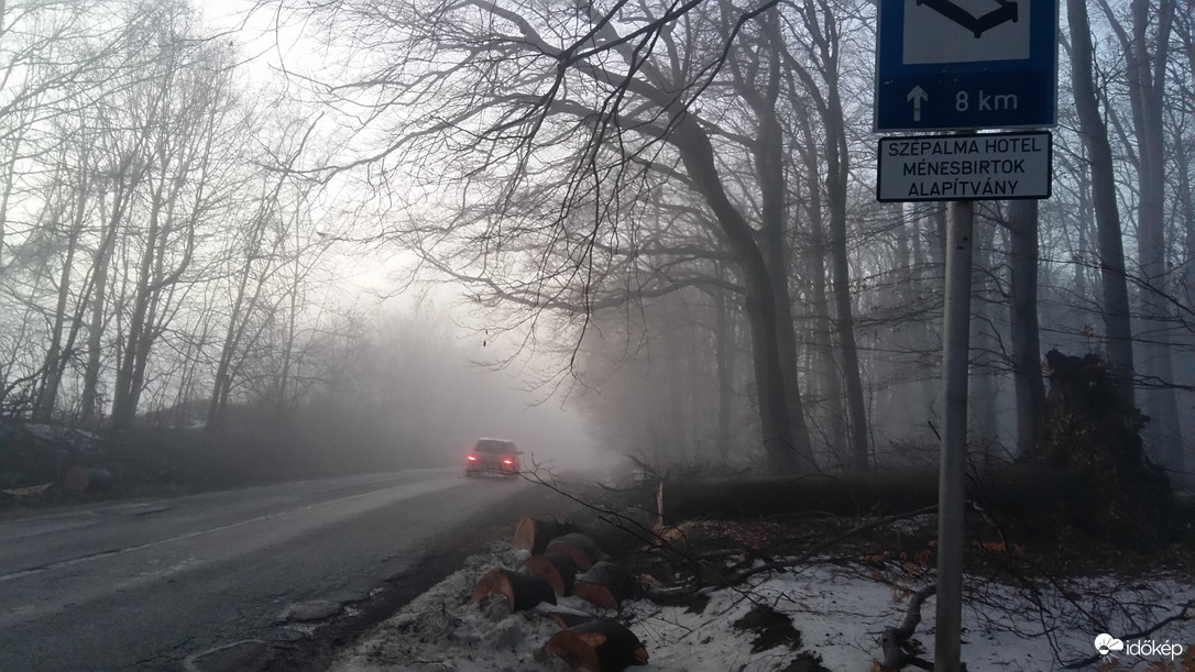 Zúzmara Zirci erdőhatáron 