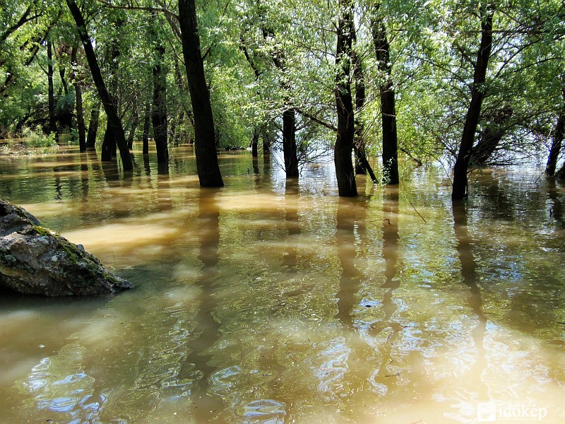 Tovább emelkedik Duna, ma reggel