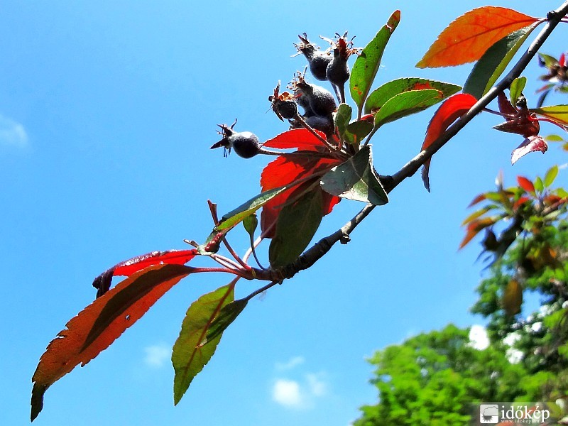 Ma még kiélvezhettük