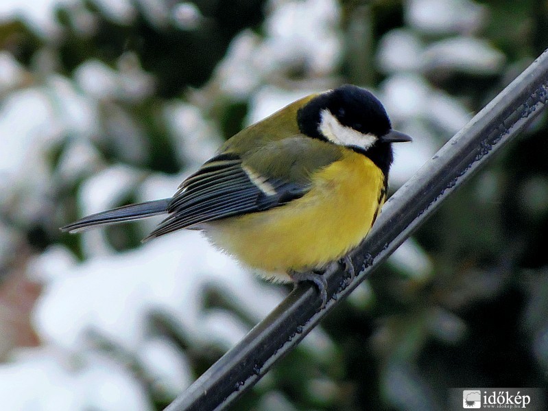 Hó és jeges szél....