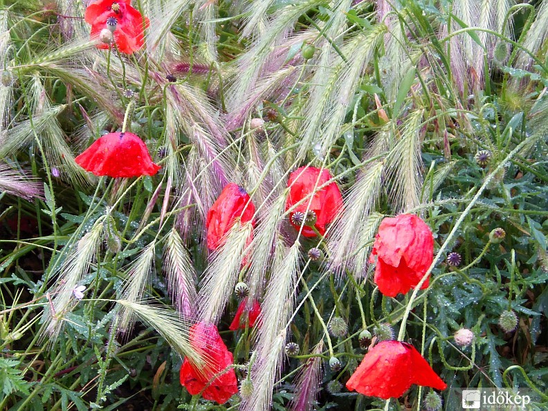 A felhőszakadás után