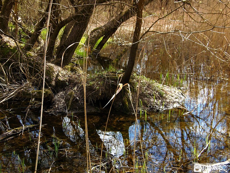 Tükröm, tükröm....