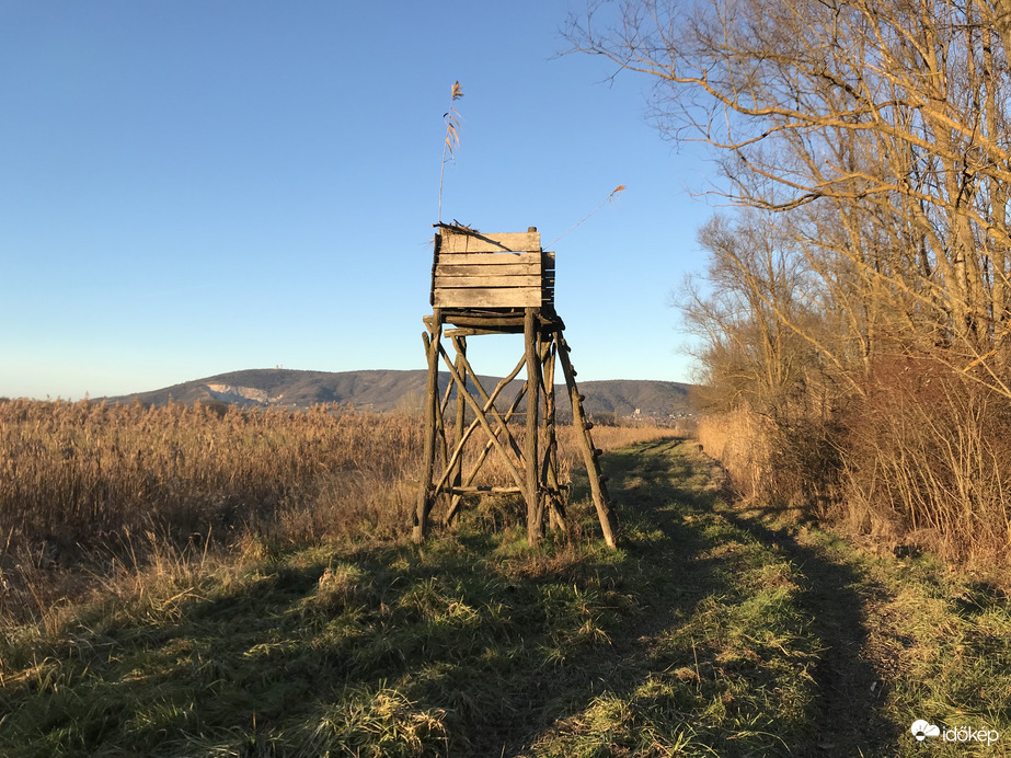 Tavasz januárban, a Villányi-hegység mentén