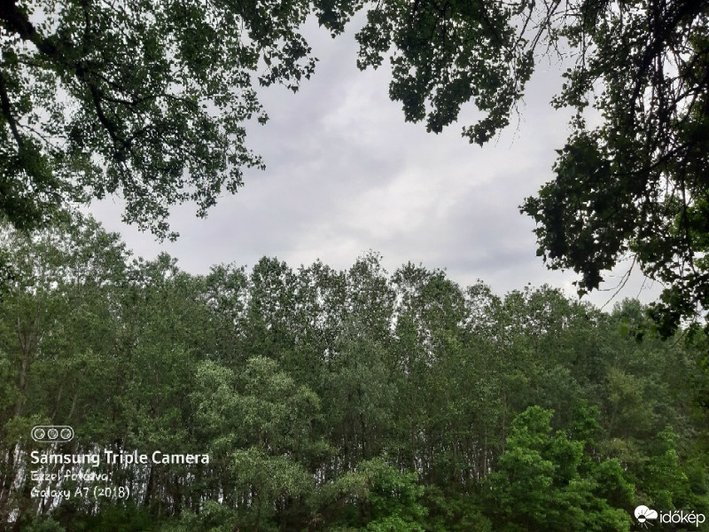 Észlelési fényképek