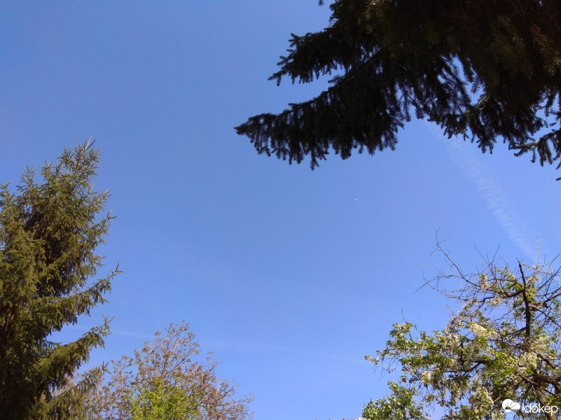 Budapest XVII.ker - Rákosliget