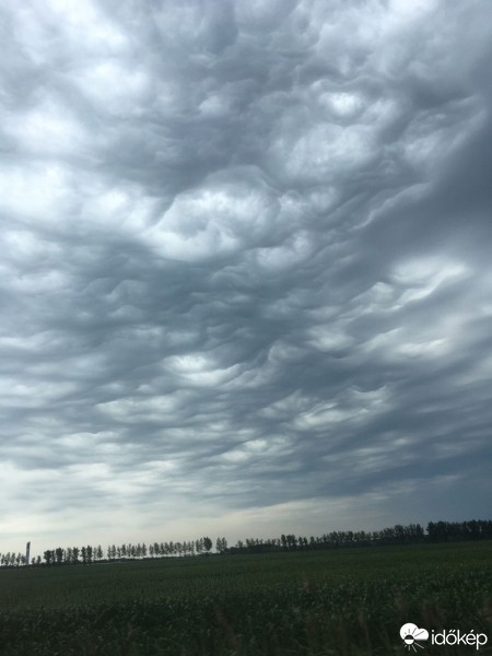 Észlelési fényképek