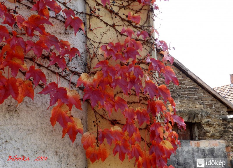 novemberi hangulat  