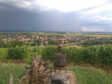 Tokaj