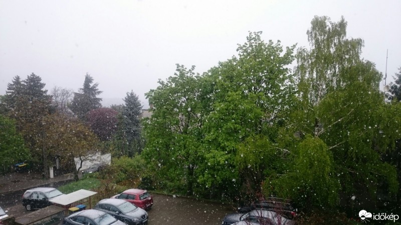 Észlelési fényképek