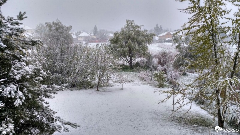 Észlelési fényképek