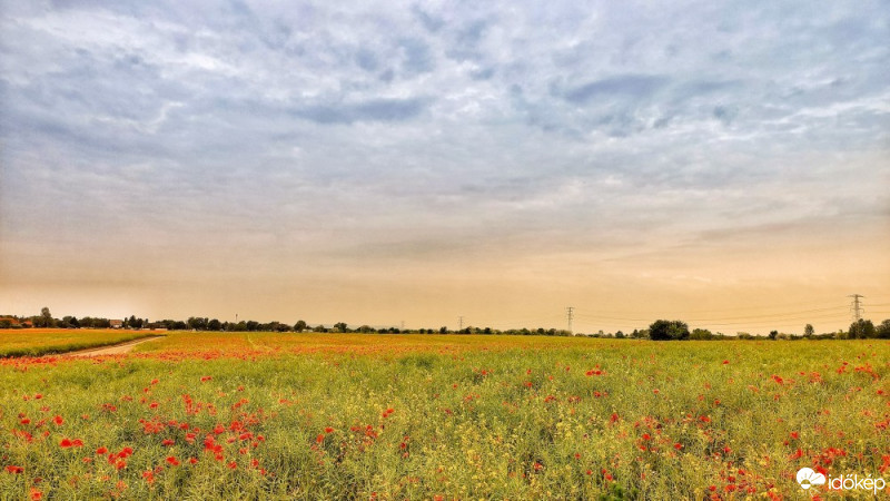 Észlelési fényképek