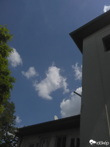 Észlelési fényképek