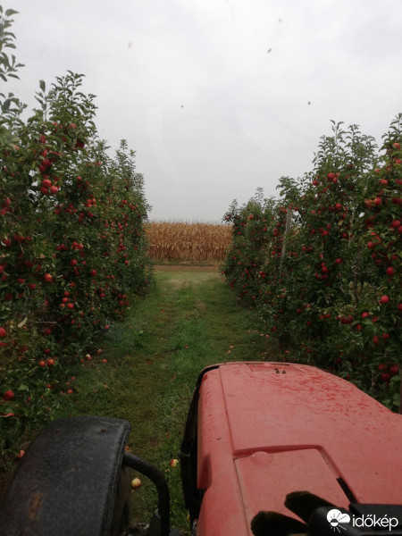 Észlelési fényképek