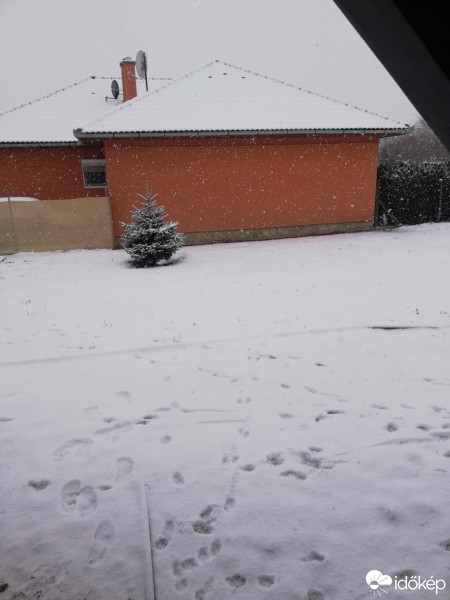 Észlelési fényképek