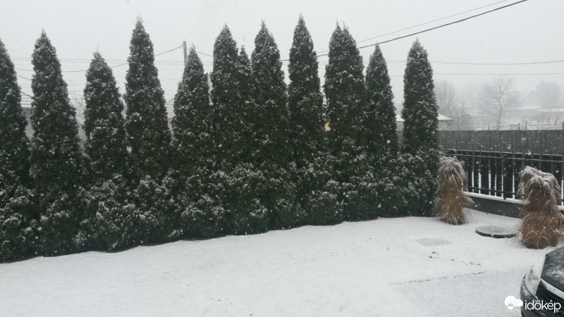 Észlelési fényképek