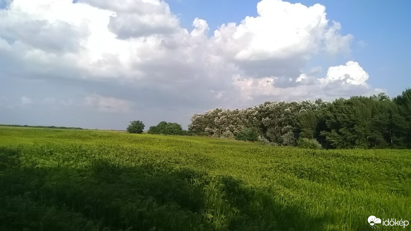 Észlelési fényképek