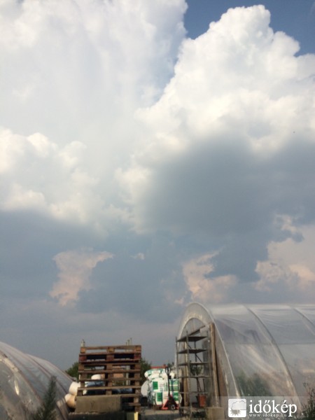 Észlelési fényképek