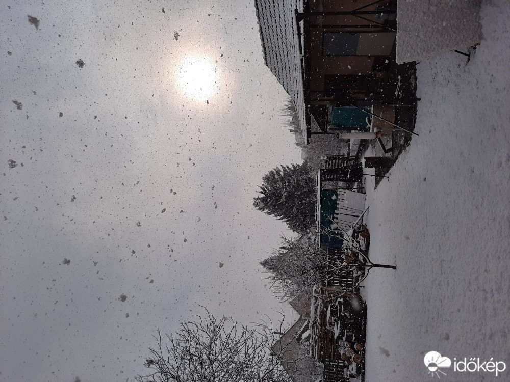 Észlelési fényképek