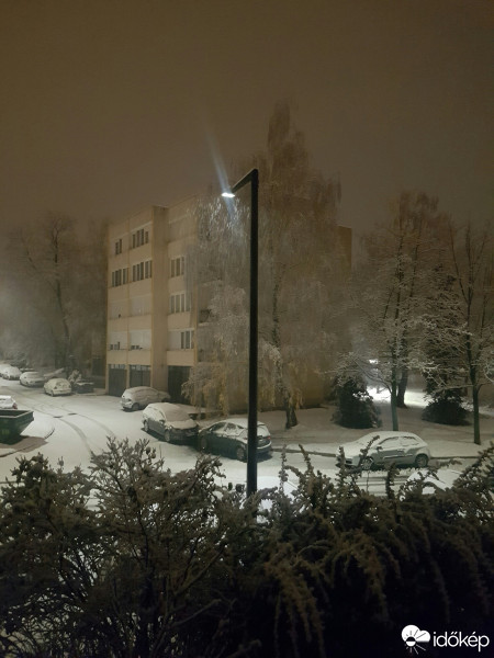 Észlelési fényképek