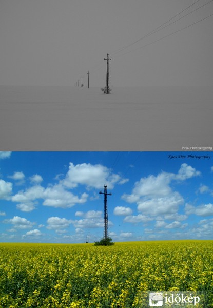 1 hónap elteltével..