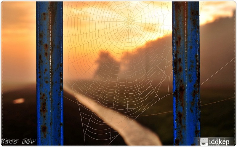 Koránkelés jutalma