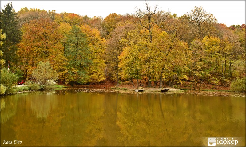 Ősz a tónál