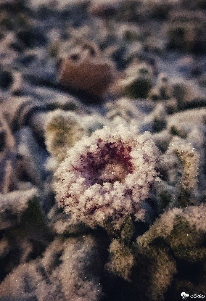 Budapest XIII.ker - Vizafogó