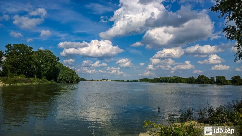 Csallóközaranyos