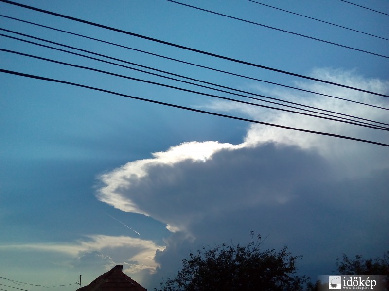 Észlelési fényképek