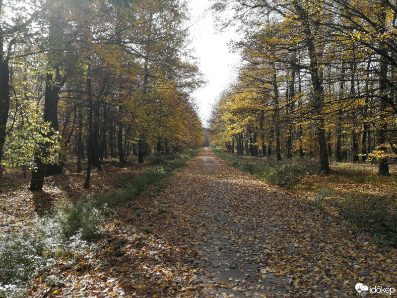 Székesfehérvár