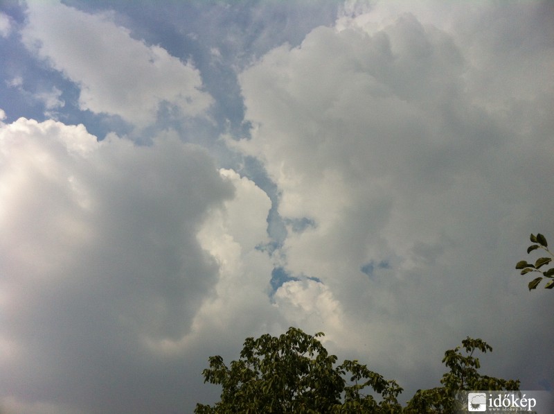 Észlelési fényképek