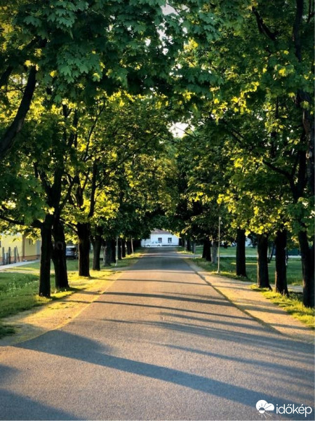 Mosonszolnok