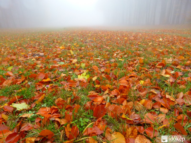 Autumn in the Matra mountains