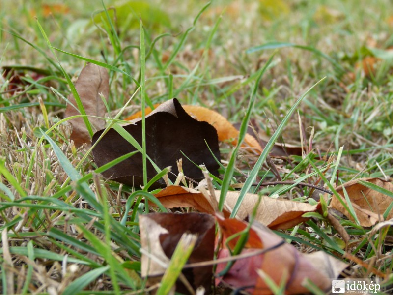 Az első fagyos hajnal után...