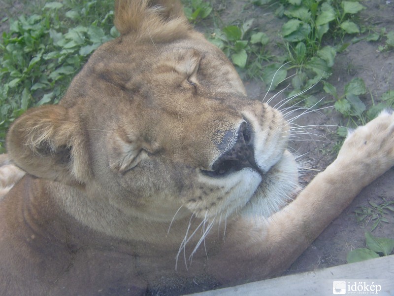 Te meg mit bámulsz?