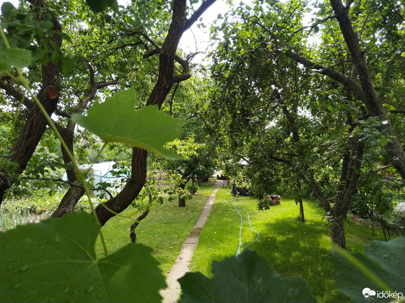 Tiszavárkony