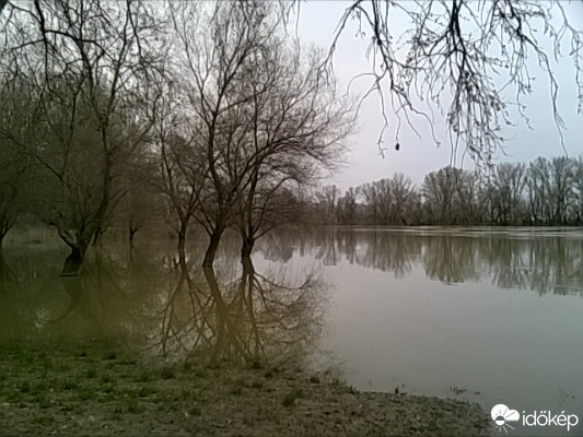 Tiszavárkony