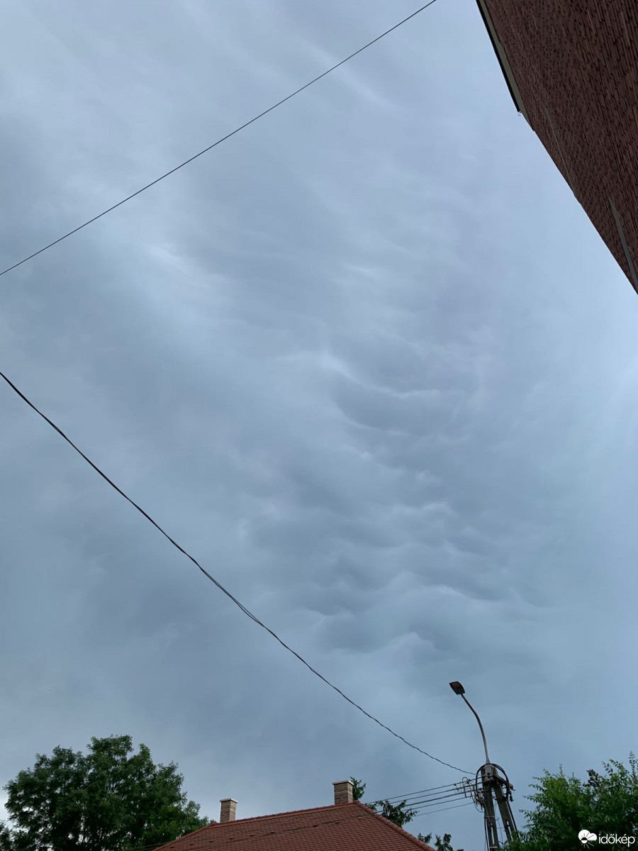 Észlelési fényképek